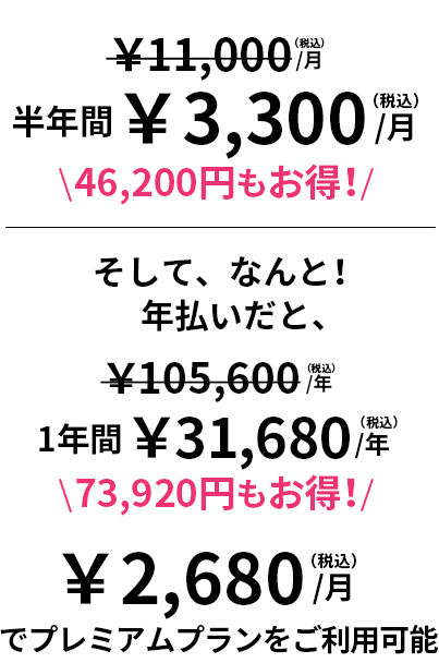 月額税込3,300円